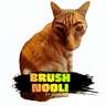 Brush Nooli logo