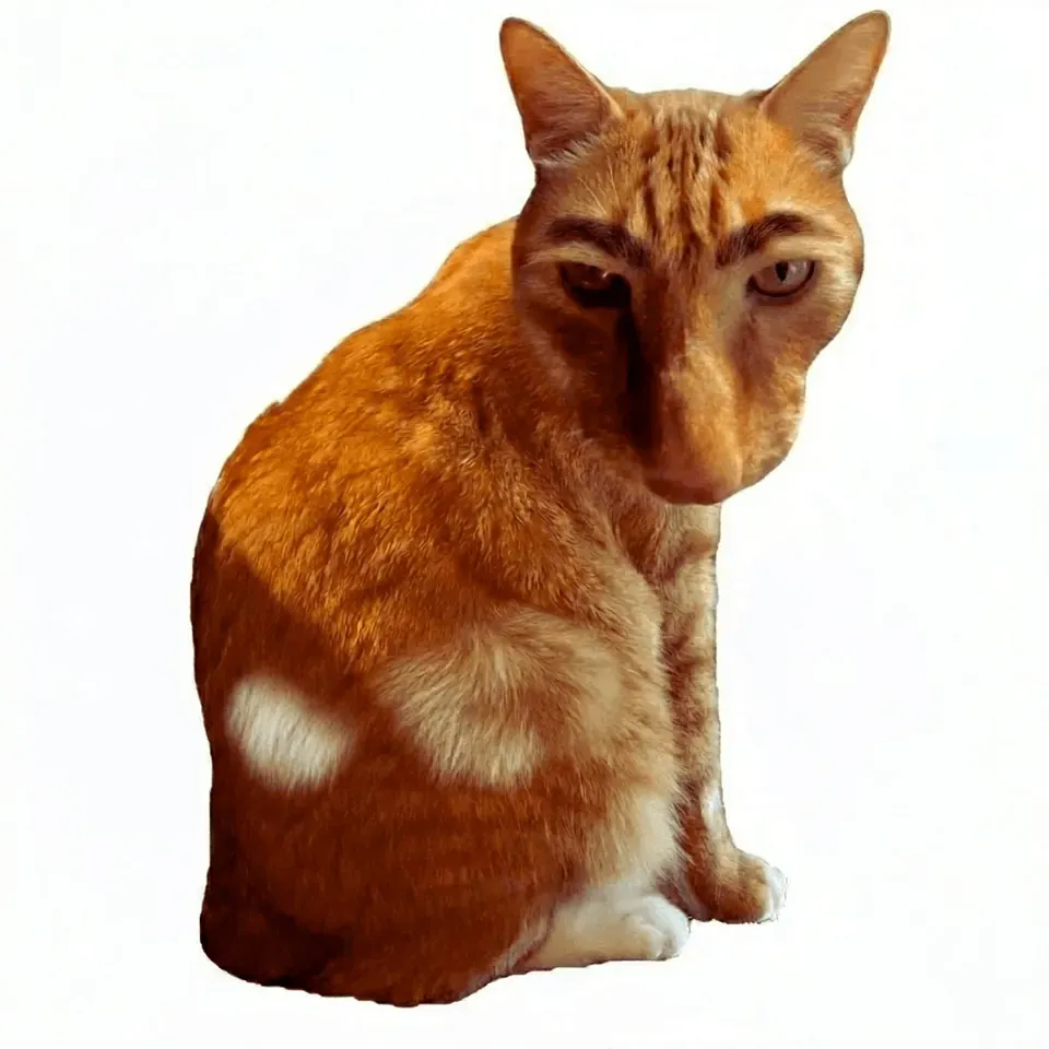 Ginger orange cat sitting calmly — click to play the viral Brush Nooli cat brushing browser game
